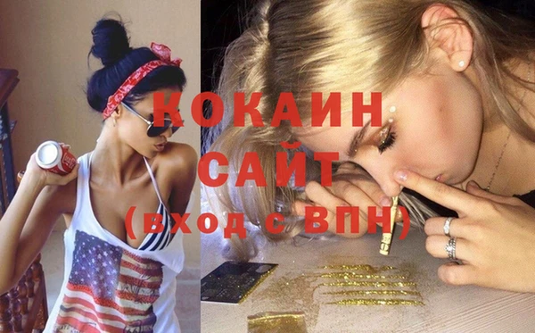сатива Надым